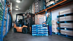 Coolroom forklift